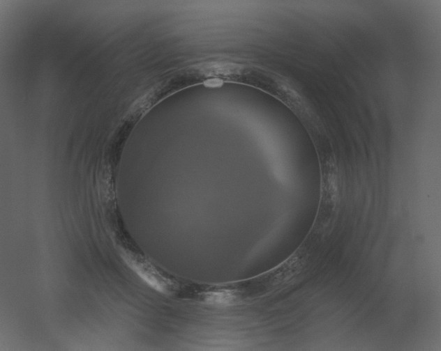 X0000051860411200506241326