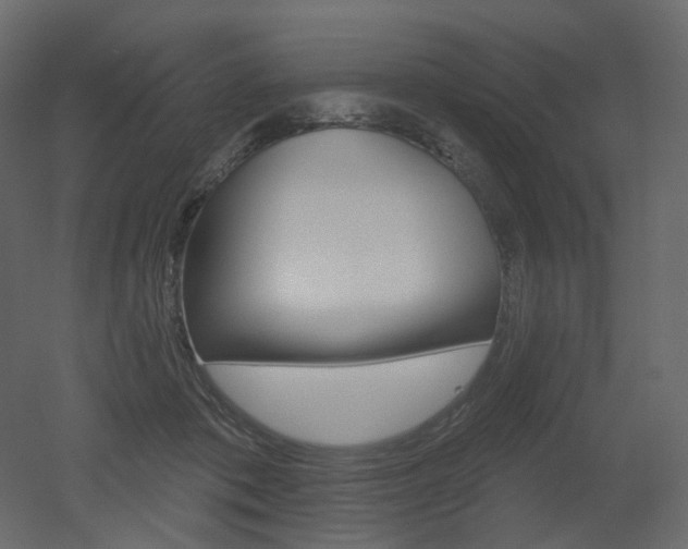 X0000051860413200506241326