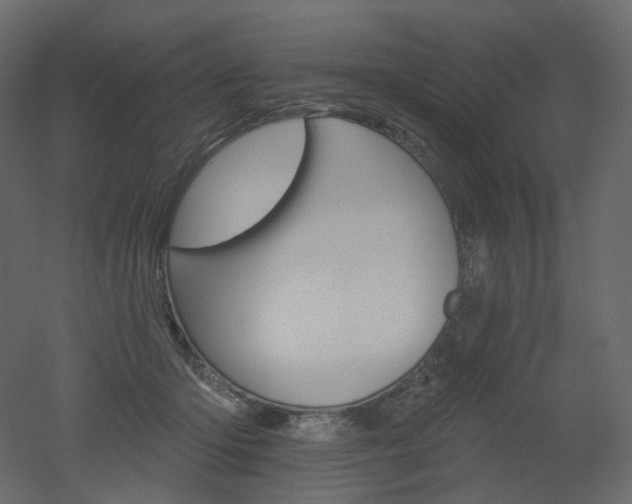 X0000051860414200506241326