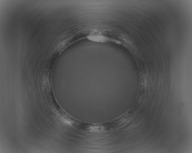 X0000051860415200506241326