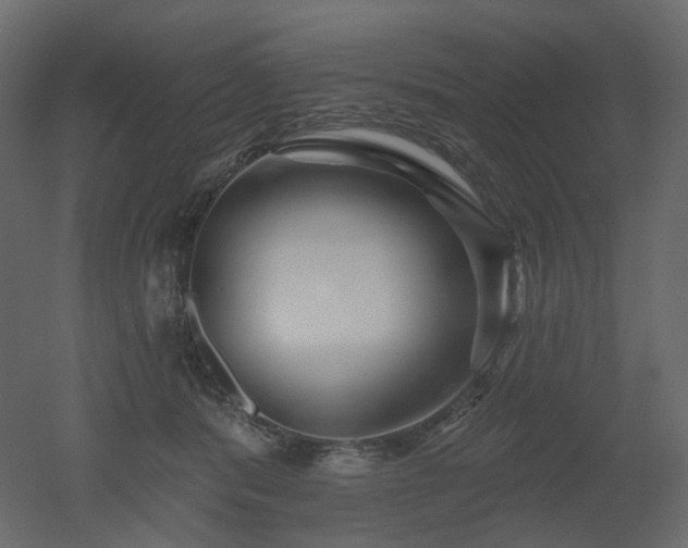 X0000051860416200506241326