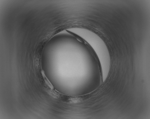 X0000051860417200506241326