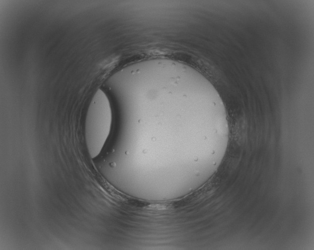 X0000051860418200506241326