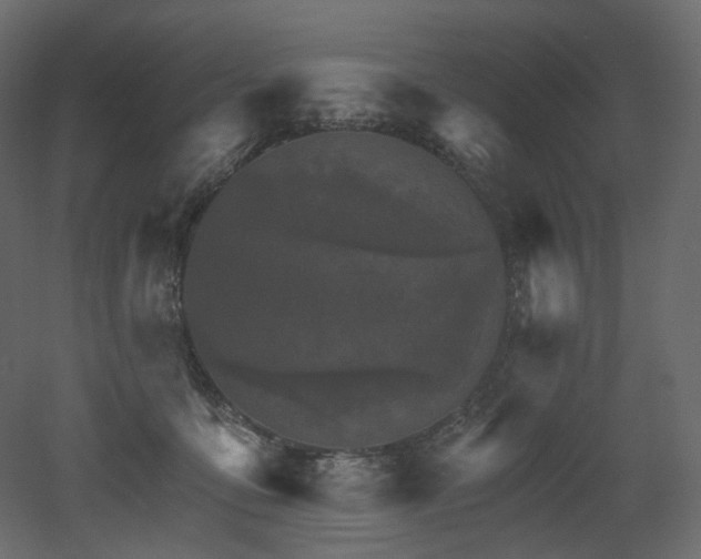 X0000051860419200506241326