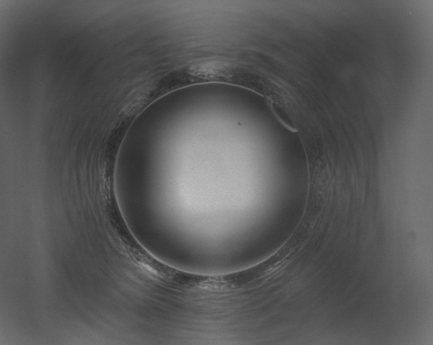 X0000051860420200506241326