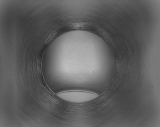 X0000051860421200506241326