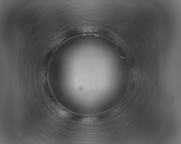 X0000051860422200506241326