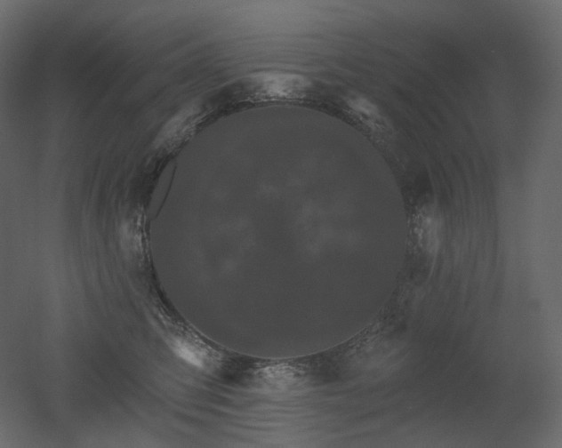 X0000051860423200506241326