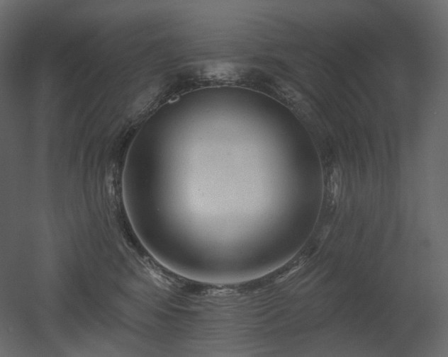 X0000051860424200506241326