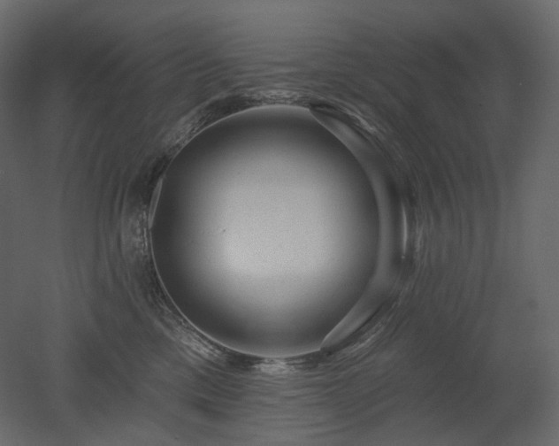 X0000051860425200506241326