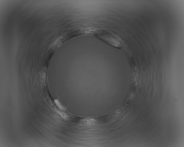 X0000051860427200506241326