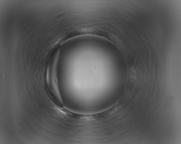 X0000051860428200506241326