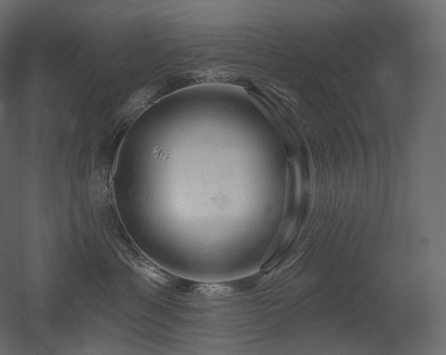 X0000051860429200506241326