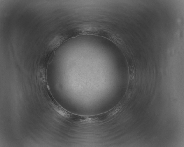 X0000051860430200506241326