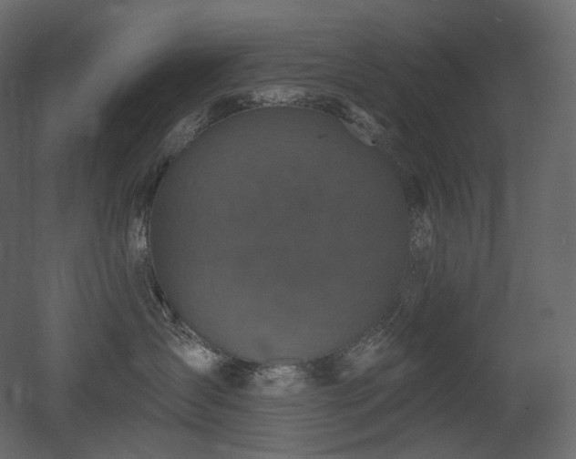 X0000051860431200506241326