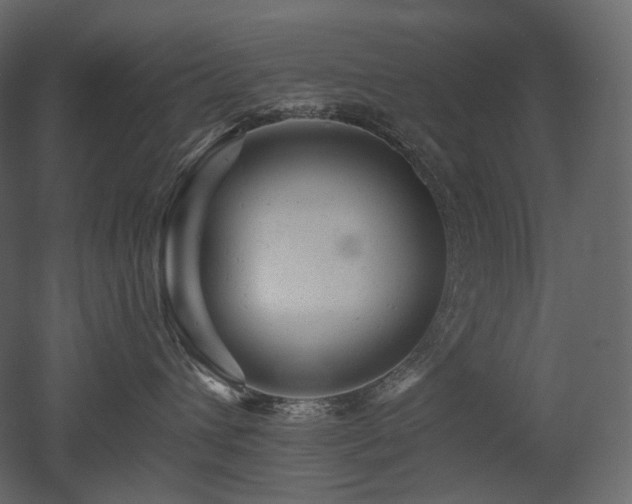 X0000051860432200506241326