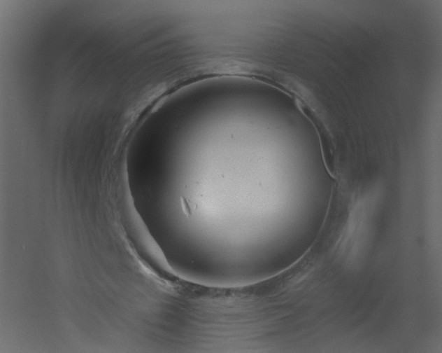 X0000051860433200506241325