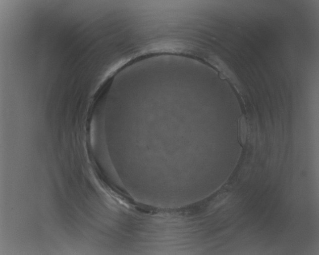 X0000051860434200506241325