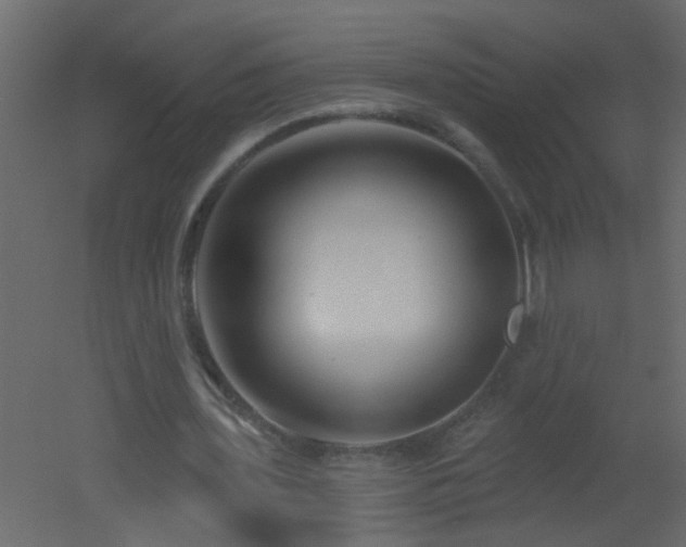 X0000051860435200506241325