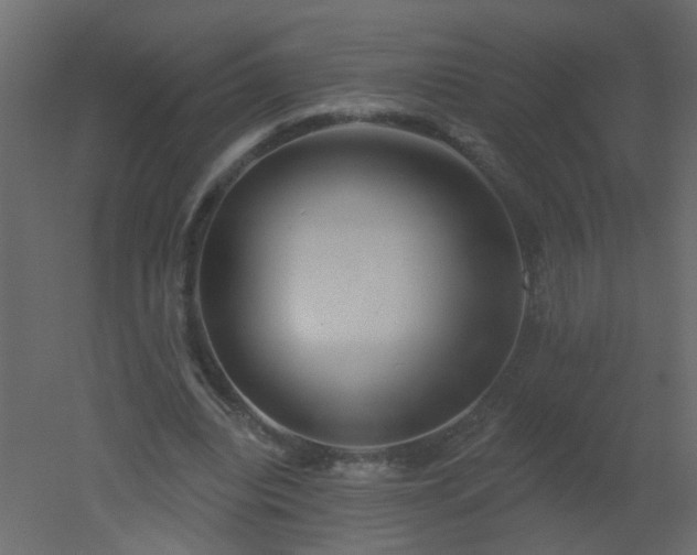 X0000051860440200506241325