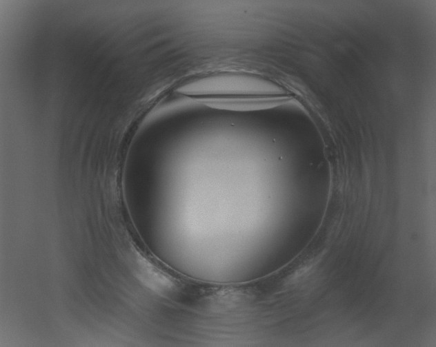 X0000051860441200506241325