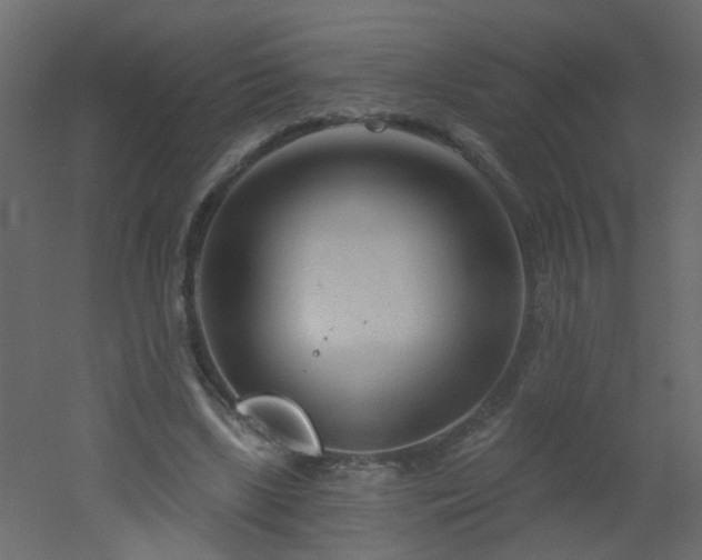 X0000051860443200506241325