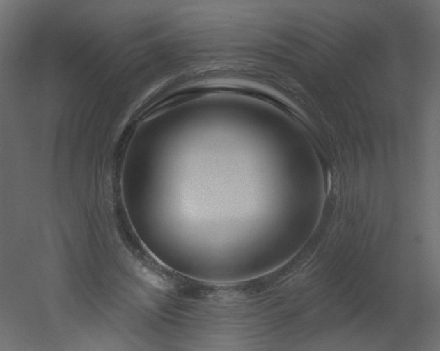 X0000051860444200506241325