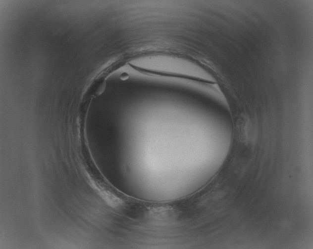 X0000051860446200506241325