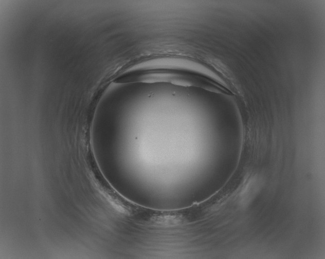 X0000051860449200506241325