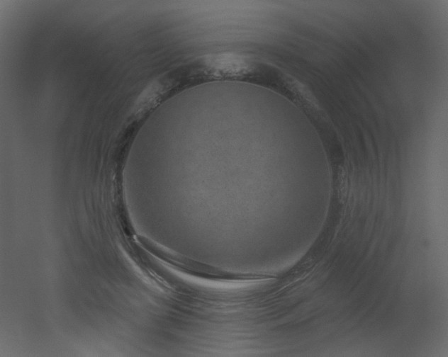 X0000051860451200506241325