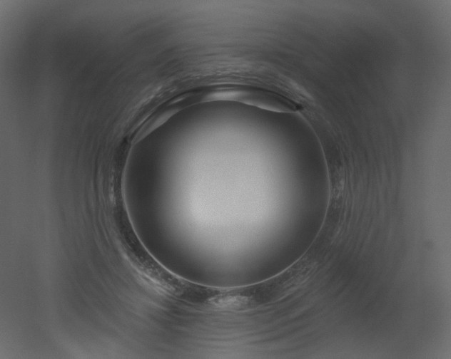 X0000051860452200506241325