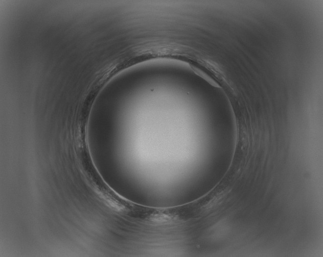 X0000051860453200506241325