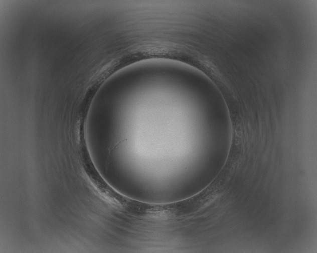 X0000051860454200506241325