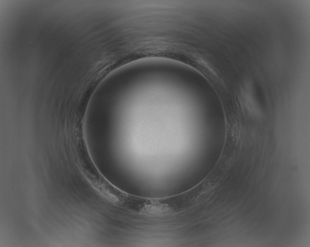 X0000051860455200506241325