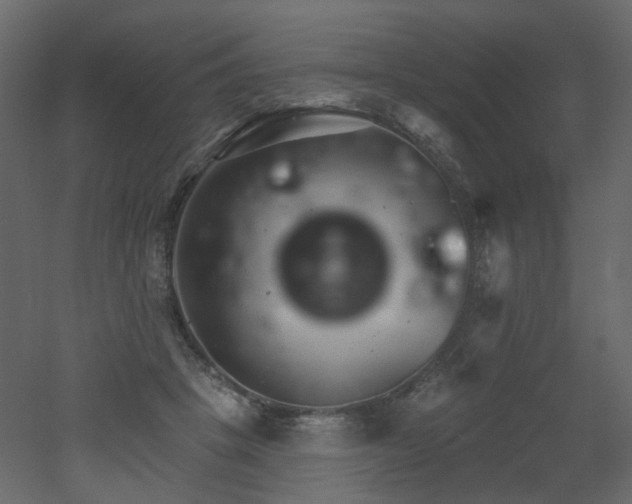 X0000051860457200506241325