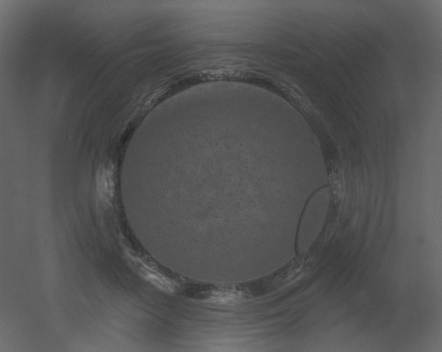 X0000051860458200506241325