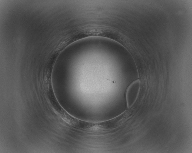 X0000051860460200506241325