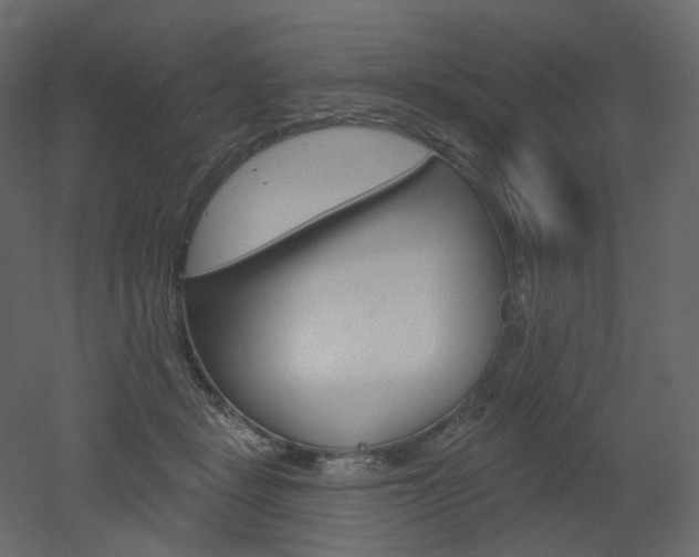 X0000051860461200506241325