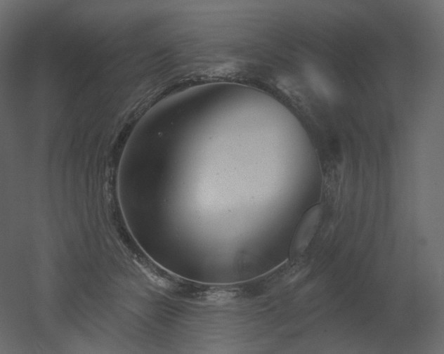 X0000051860462200506241325