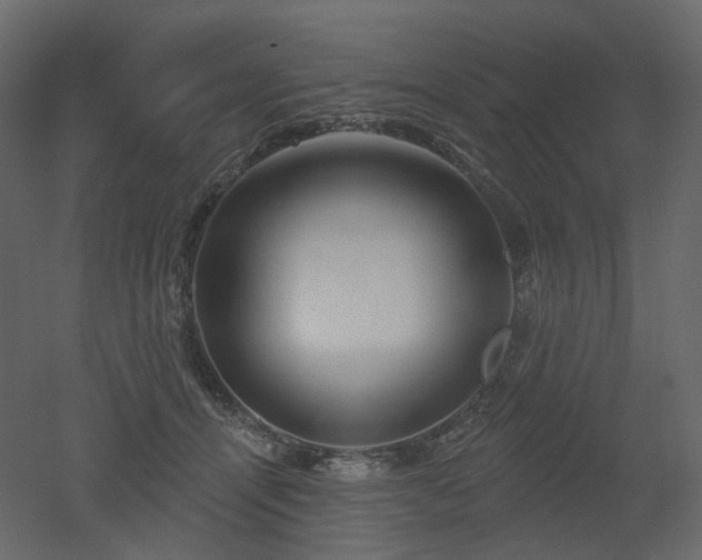 X0000051860464200506241325