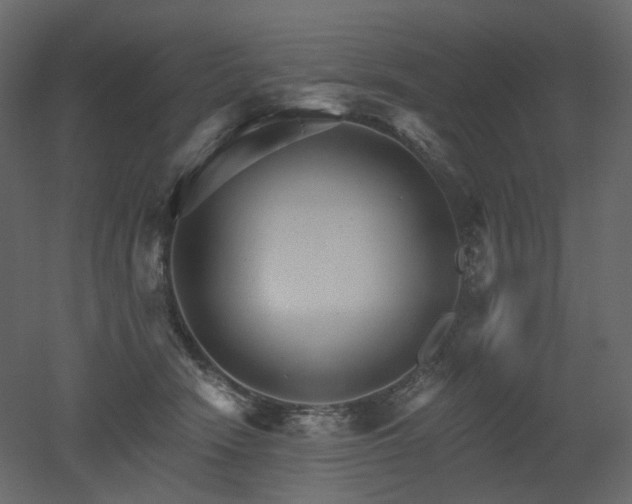 X0000051860466200506241326