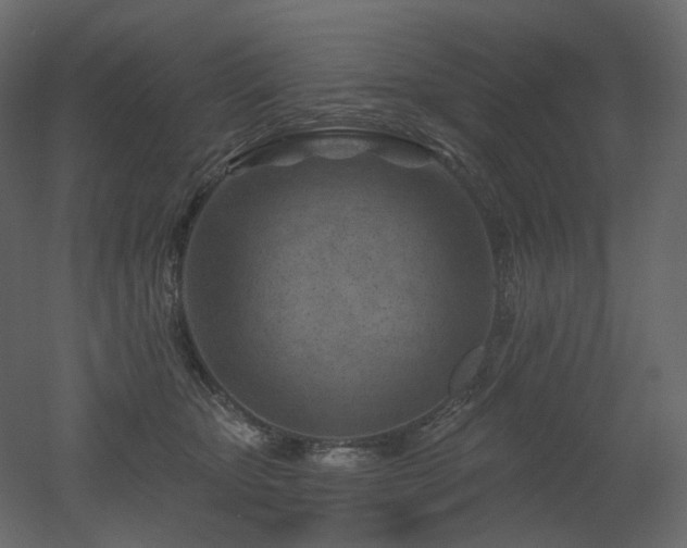 X0000051860467200506241326