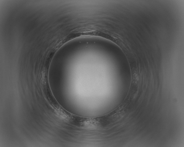 X0000051860468200506241326