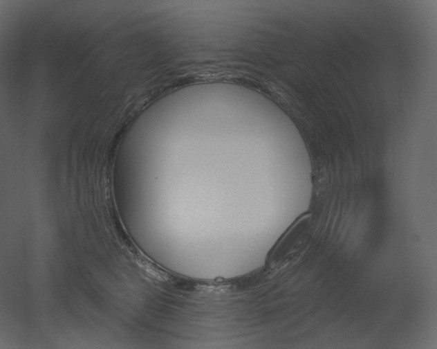 X0000051860469200506241326