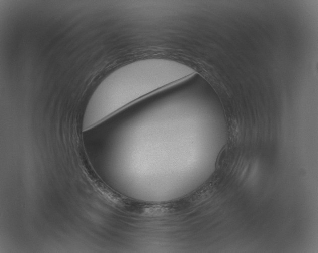 X0000051860470200506241326