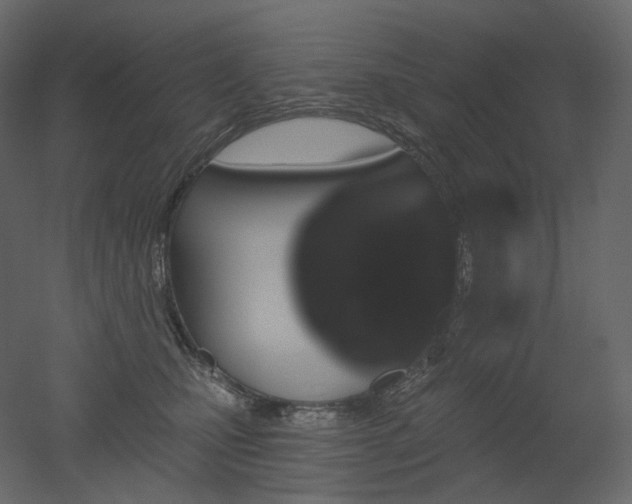 X0000051860471200506241326