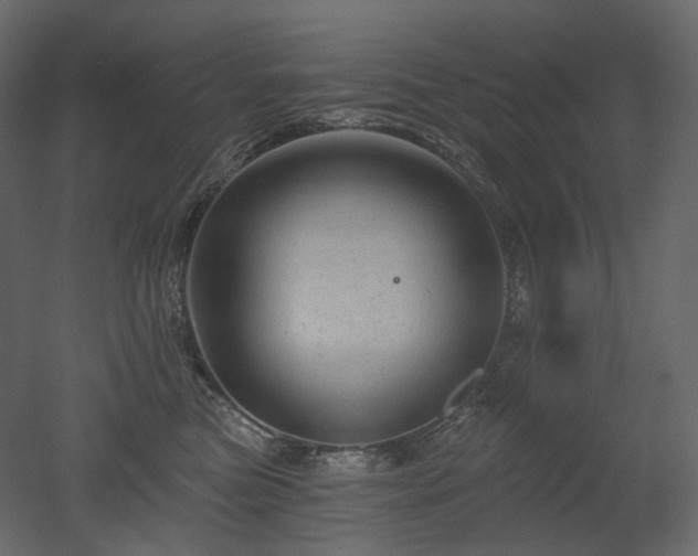 X0000051860473200506241326