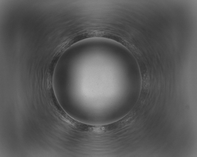 X0000051860474200506241326