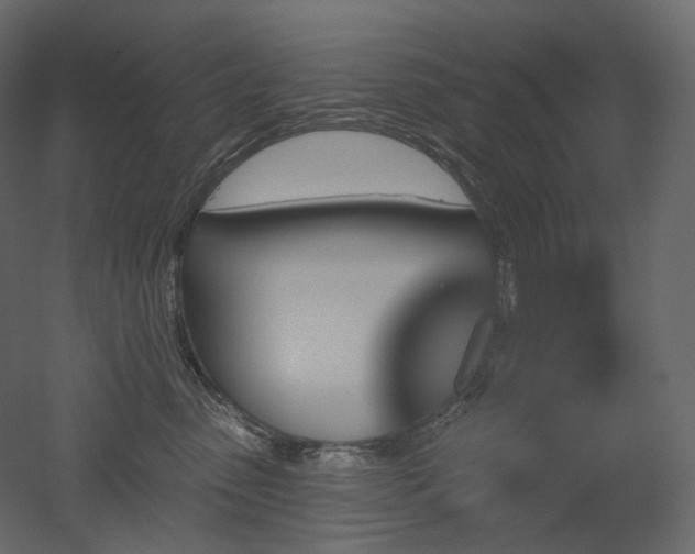 X0000051860475200506241326