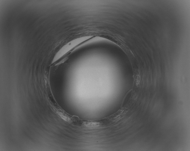 X0000051860476200506241326